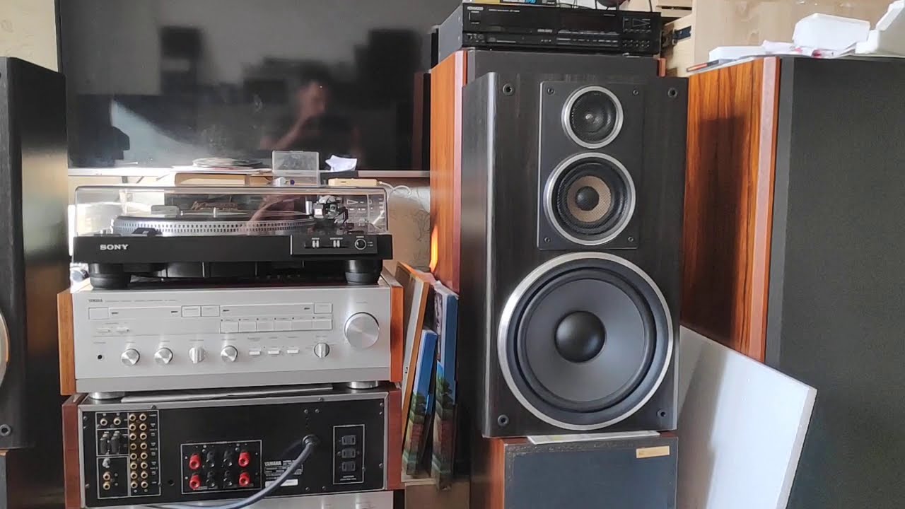 Sony SS-810