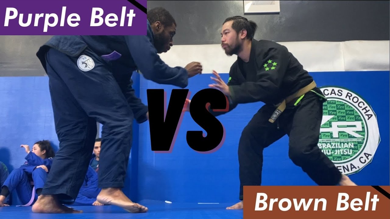 Purple Belt v Brown Belt - [Rolling/Sparring] Video Breakdown Episode 1