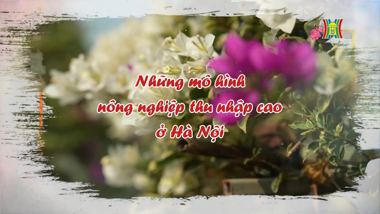 Những mô hình nông nghiệp giá trị cao ở Hà Nội | Nông nghiệp nông thôn