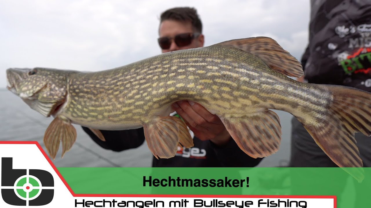 Hechtmassaker! BEISSTS?