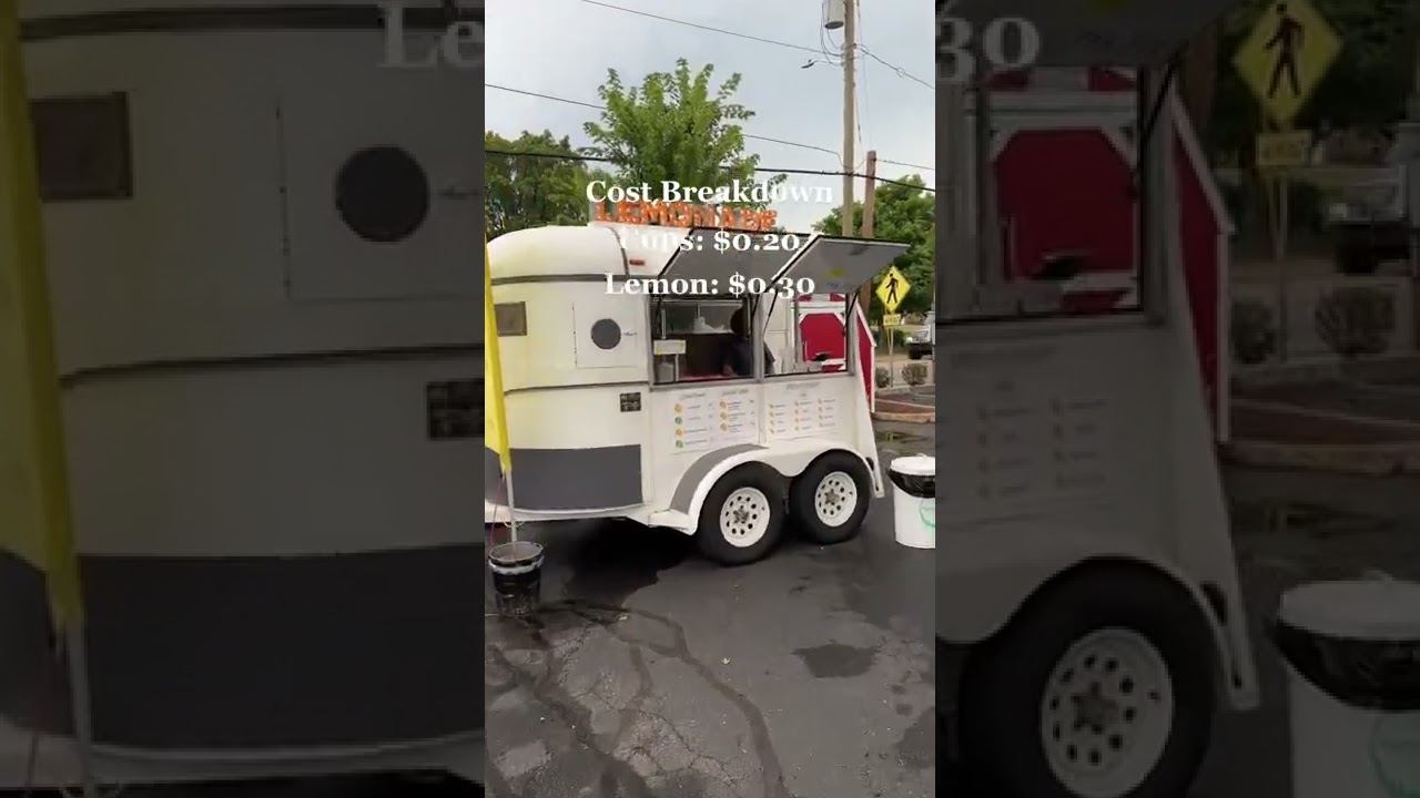 The Lemonade Profit video you&rsquo;ve all been waiting for!