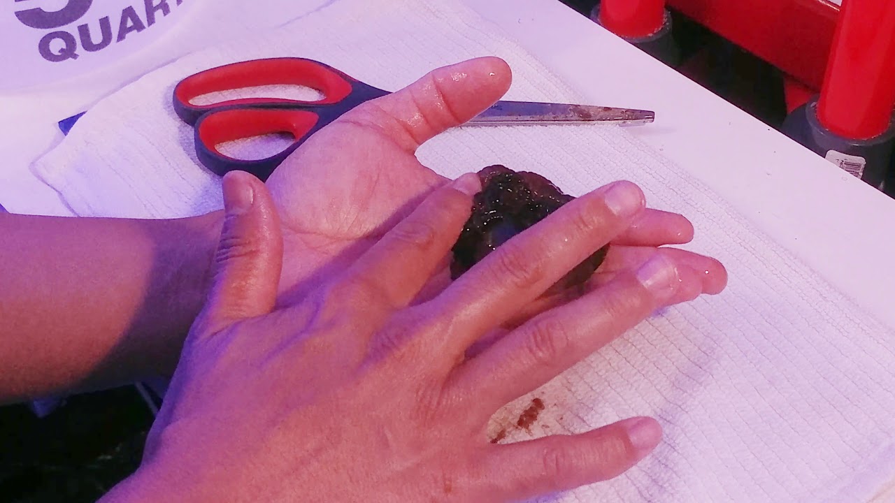 How to cut an anemone