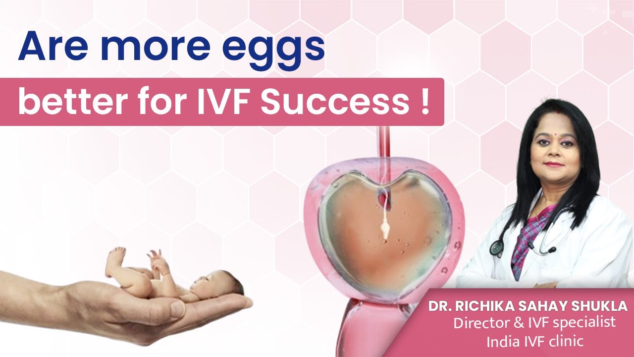 Are more eggs the better in IVF Success? Dr. Richika Sahay Shukla | India IVF Clinic