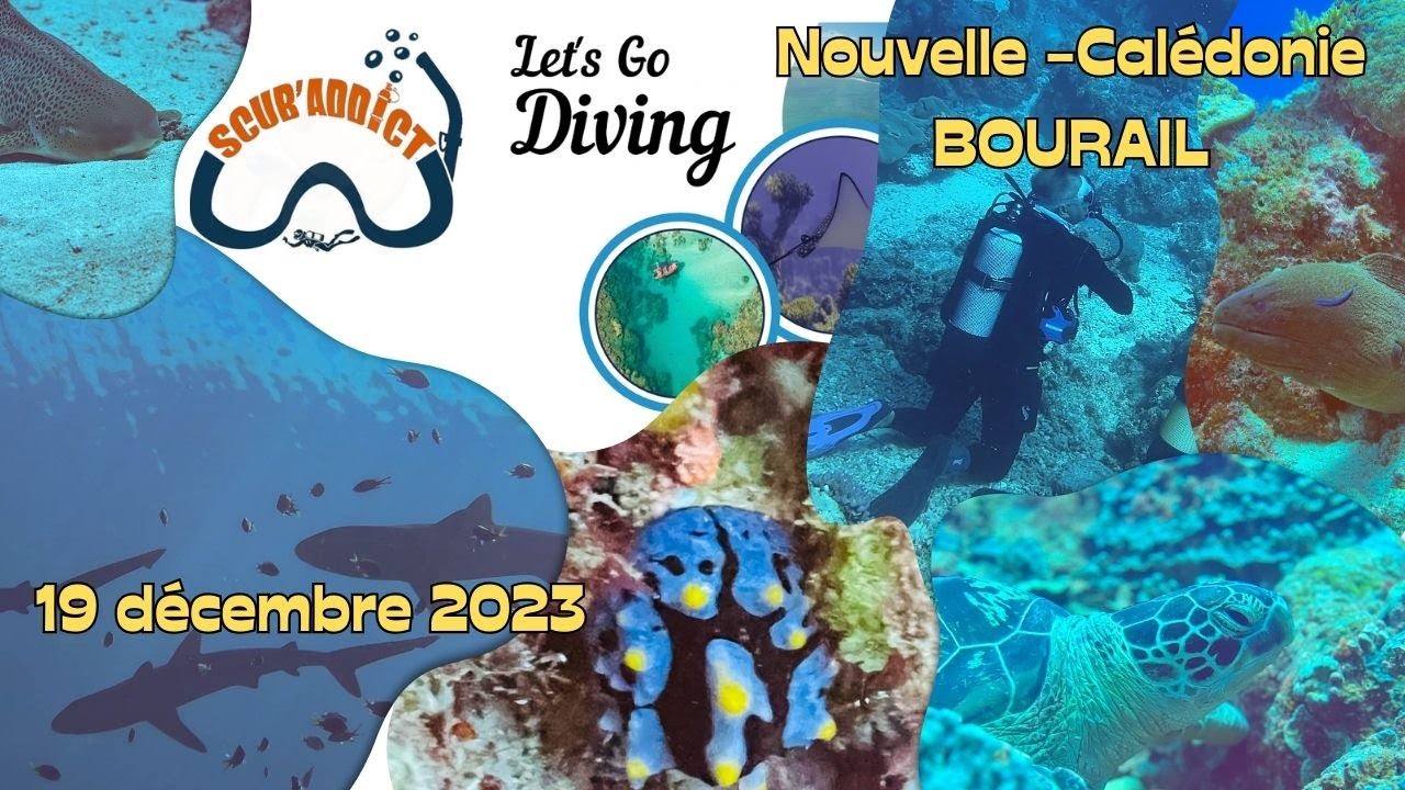 Plongées Nouvelle Calédonie - Bourail 19 12 2023