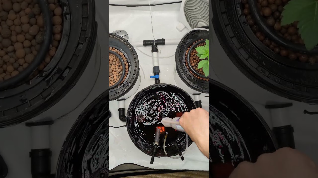 DWC Nutrients Mix - Start to Bubble  #indoorplants #growplants #plants #hydroponic #rdwc  #plants