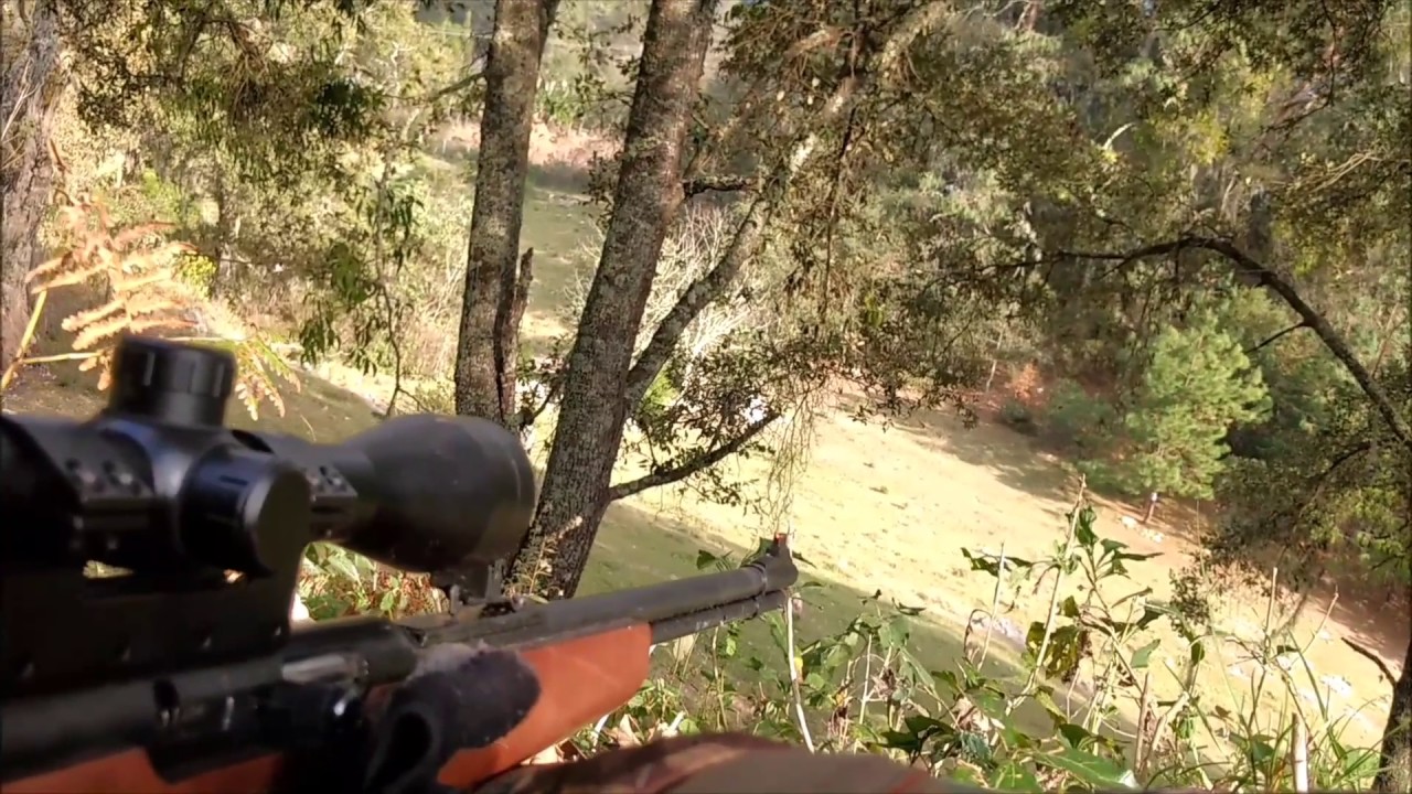 Rifle Puma Mendoza .22 Práctica de tiro.