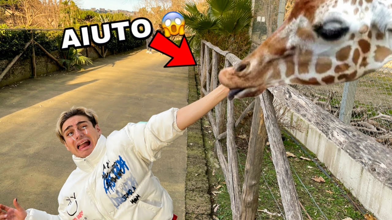 ANTO ANTO È STATO MORSO DA UNA GIRAFFA ALLO ZOO!! *non doveva toccarla*