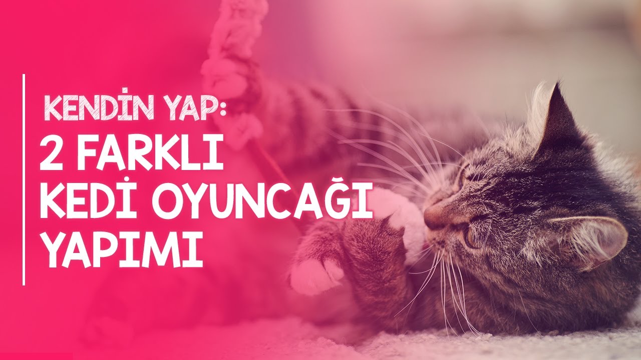 Kendin Yap: İki Farklı Kedi Oyuncağı Yapımı