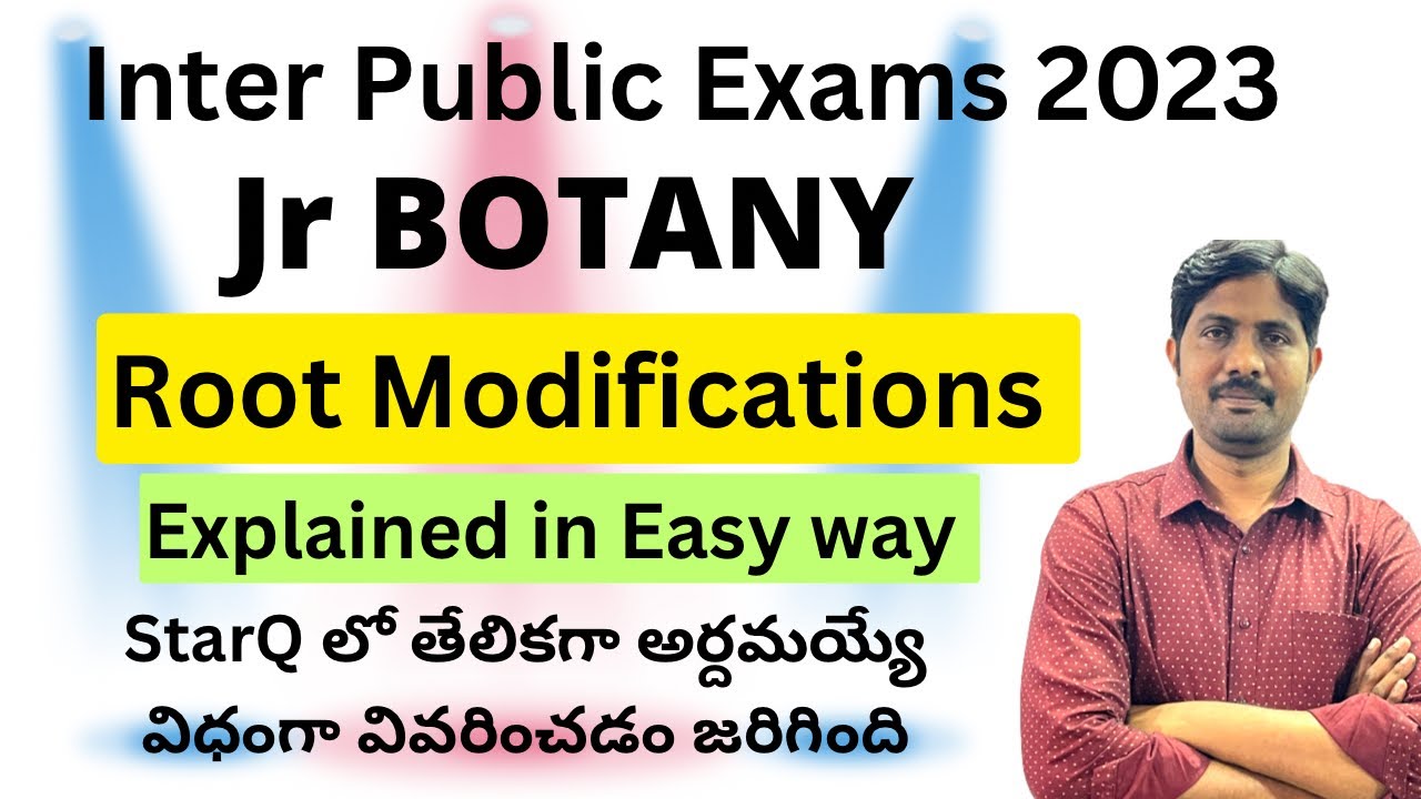 Root Modifications Explained in Easy Way || Inter Public Exams 2023 Special