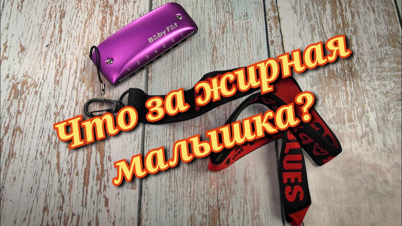 Обзор 