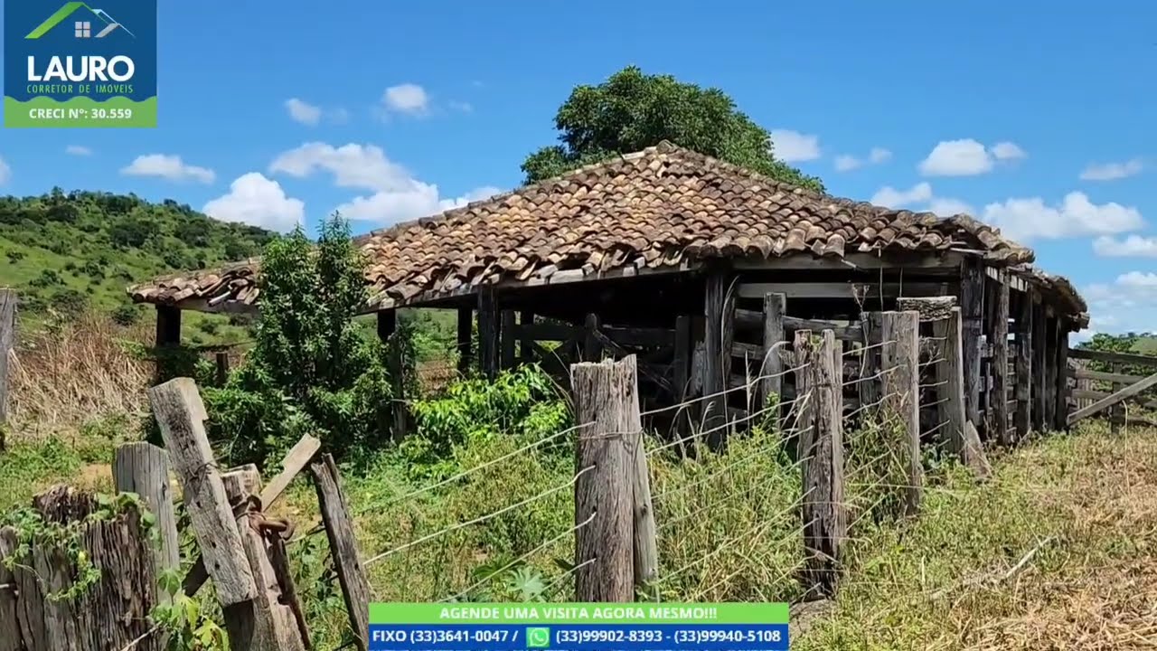 VENDE-SE FAZENDA 302HA REGIÃO TOP