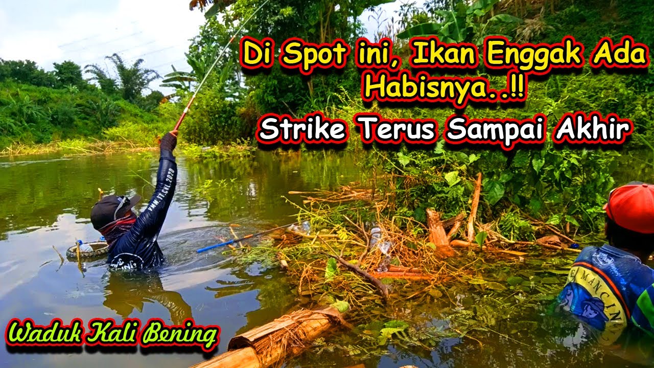 SPOT MANCING ENGGAK ADA HABISNYA - MANCING WADUK KALI BENING SARADAN