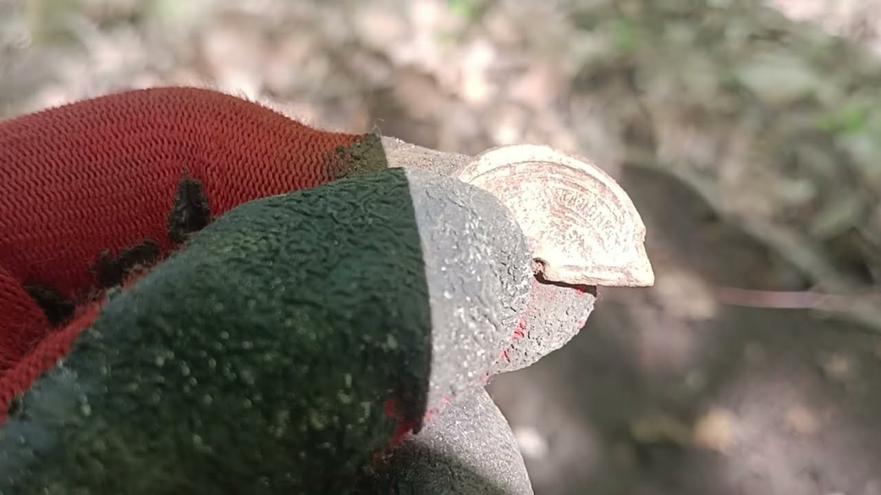 Młyn, stara studnia i Zygmunt