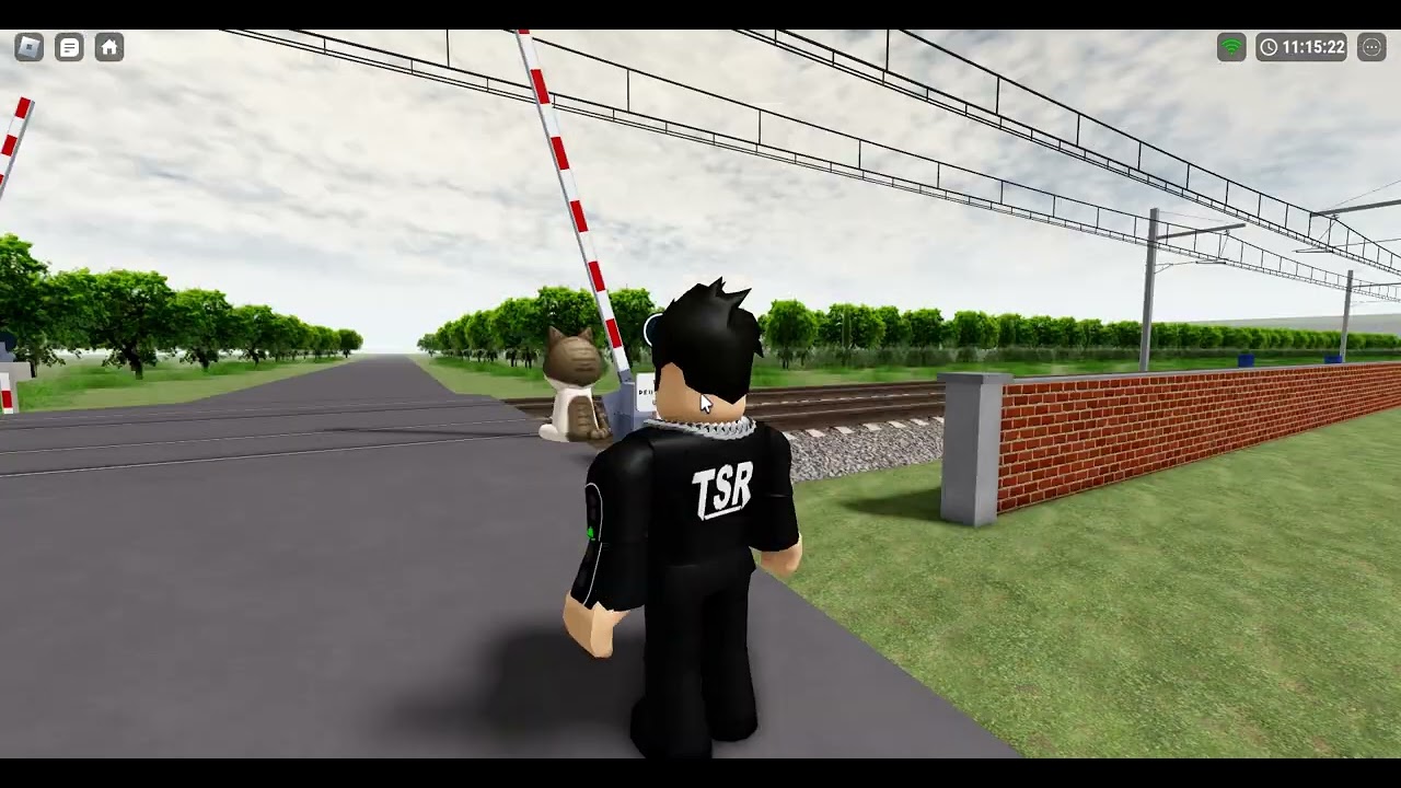 Roblox spot au passage a niveau de DIIJON PORTE NEUVE TSR2024