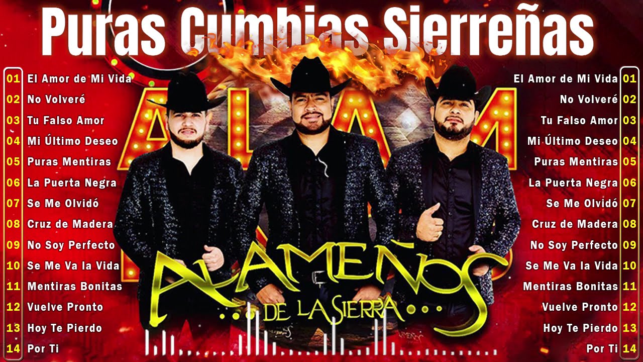 Mix Los Alameños De La Sierra 🎵 Cumbias y Huapangos Para Bailar