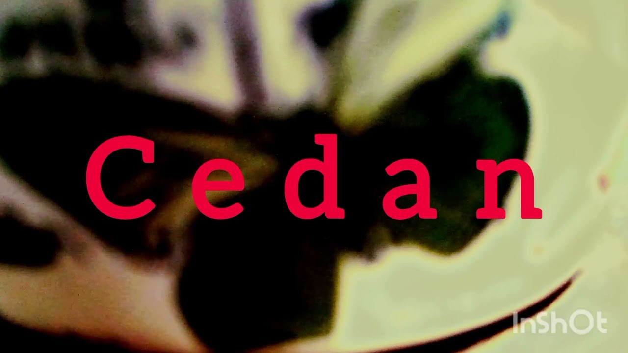 Cedan