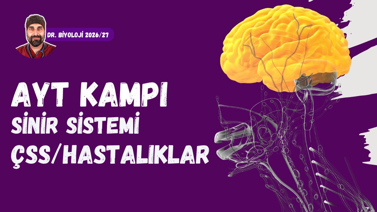 Sinir Sistemi &Ccedil;SS ve Hastalıklar | Dr. Biyoloji | AYT D&ouml;nem 2026 - 2027