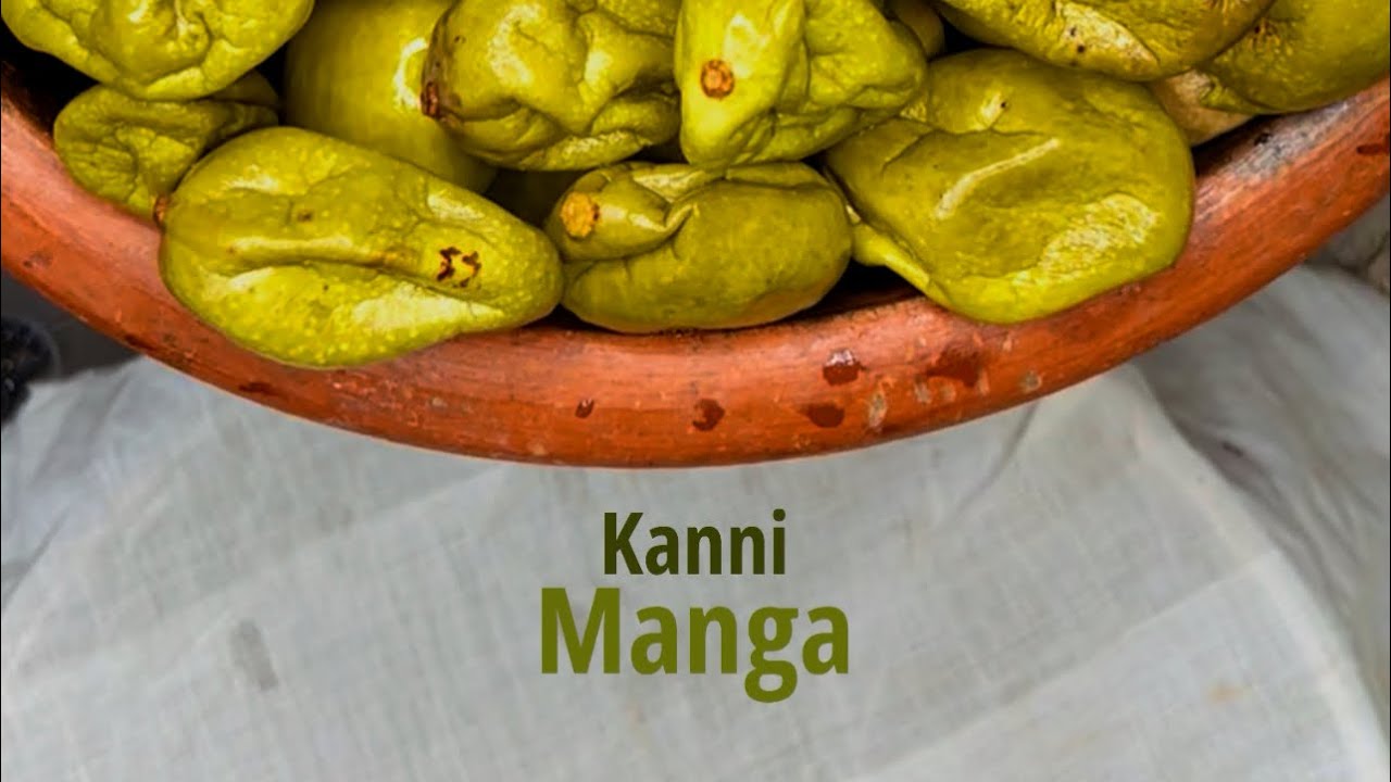 കണ്ണിമാങ്ങാ അച്ചാർ | Kannimanga Achar | Pickle Recipe | Sarang | Dakshina