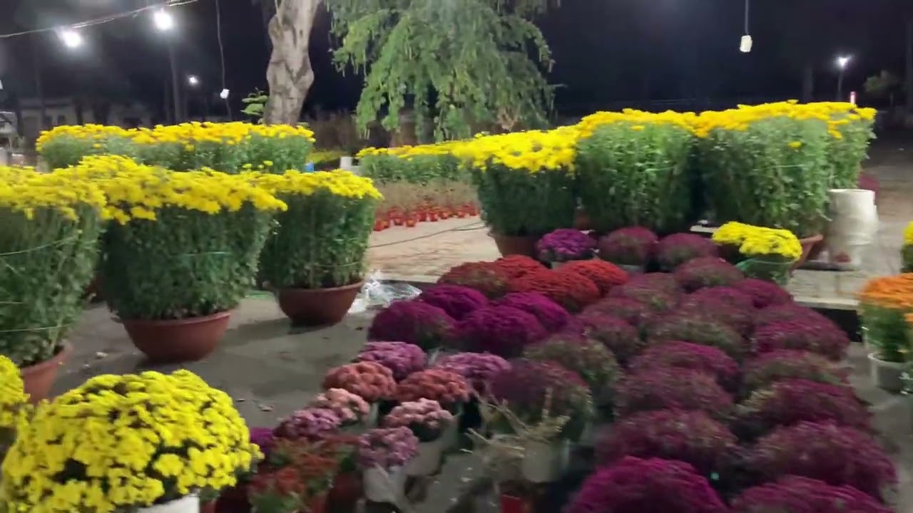 Hoa xuân ngày cận tết tại Quảng trường tỉnh Đồng Nai 