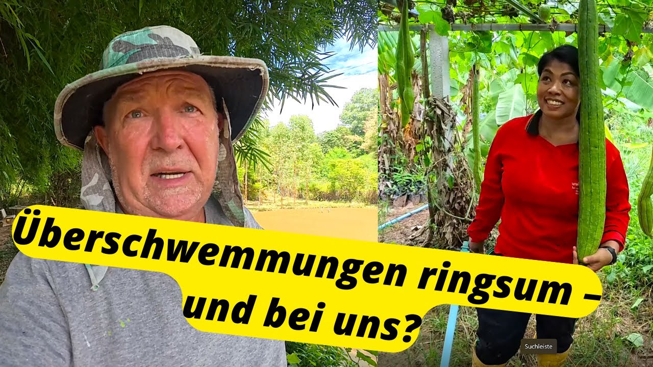 Zurück auf der Farm 🌾 – Was hat sich ohne uns getan? Teiche voll? Oder wieder nix? 😅