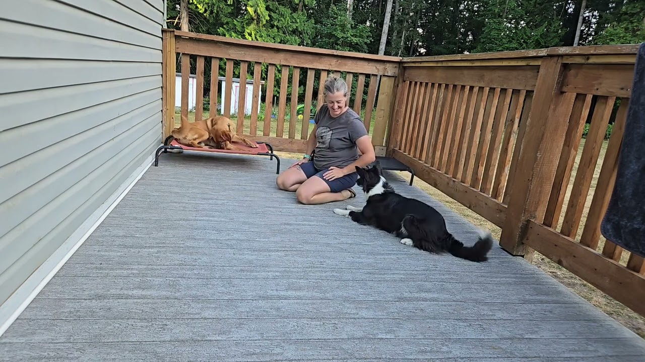 Ben's first station training with another dog.