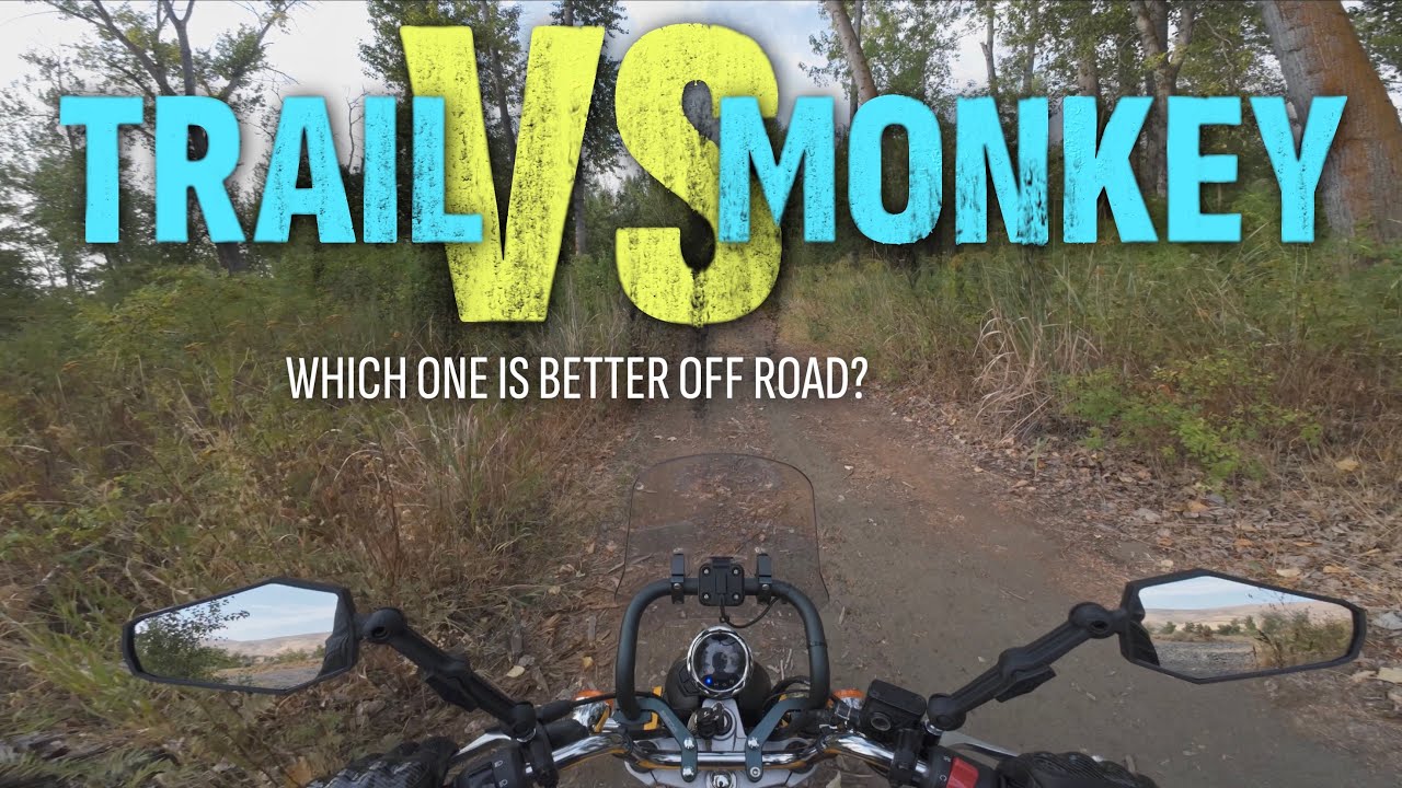 Honda Monkey не так хорош на бездорожье, как Trail 125 — отзыв владельца обоих мотоциклов
