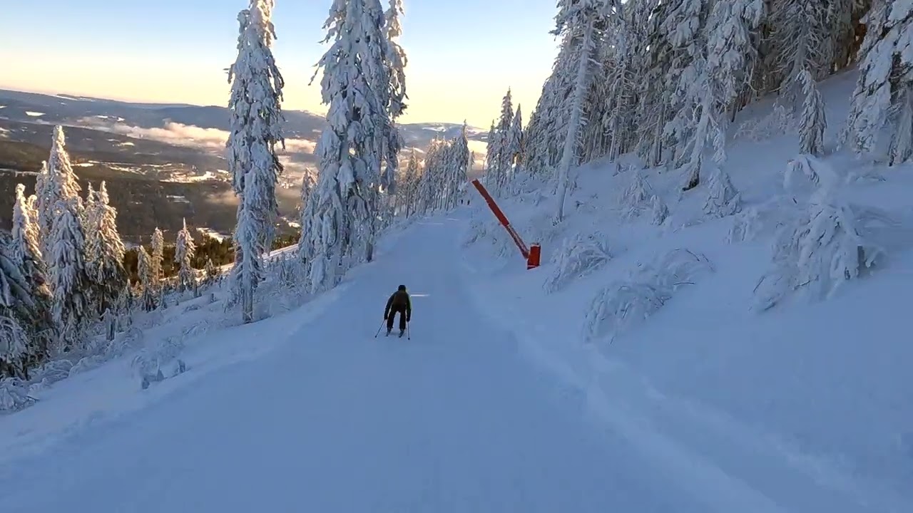 Grosser Arber / Snowboard / Ski / February 2022