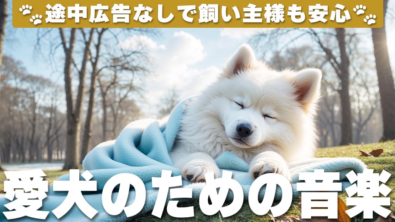 犬が落ち着く音楽 (12時間広告なし) 🐶 愛犬をリラックスさせる音楽 | 長時間のお留守番 / vol.807