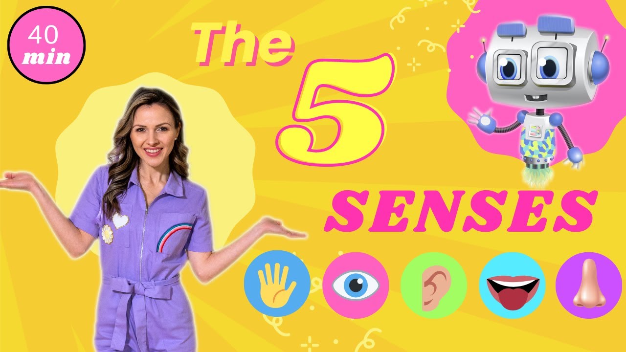 The 5 Senses | Learning Video for Kids!