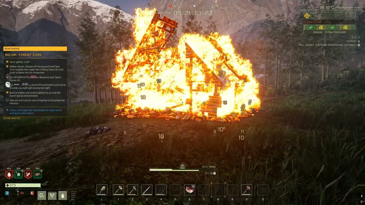 ICARUS (My House Burned Down)