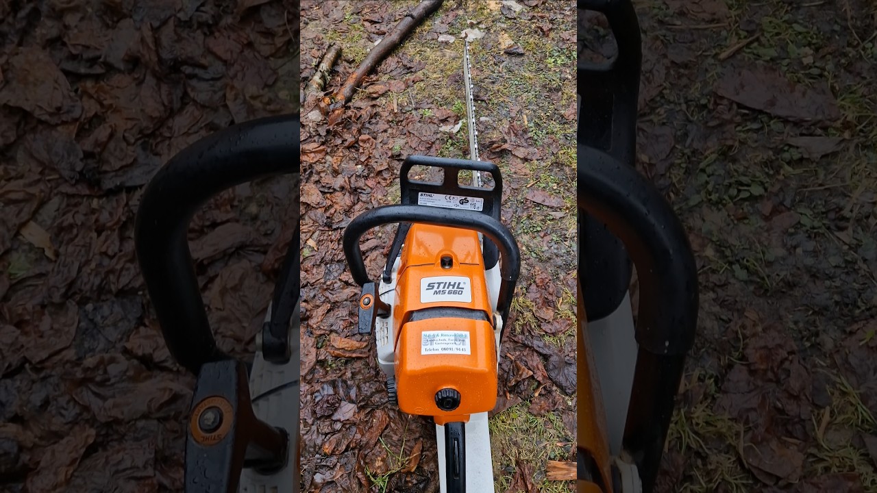 Stihl MS 660, muscle saw