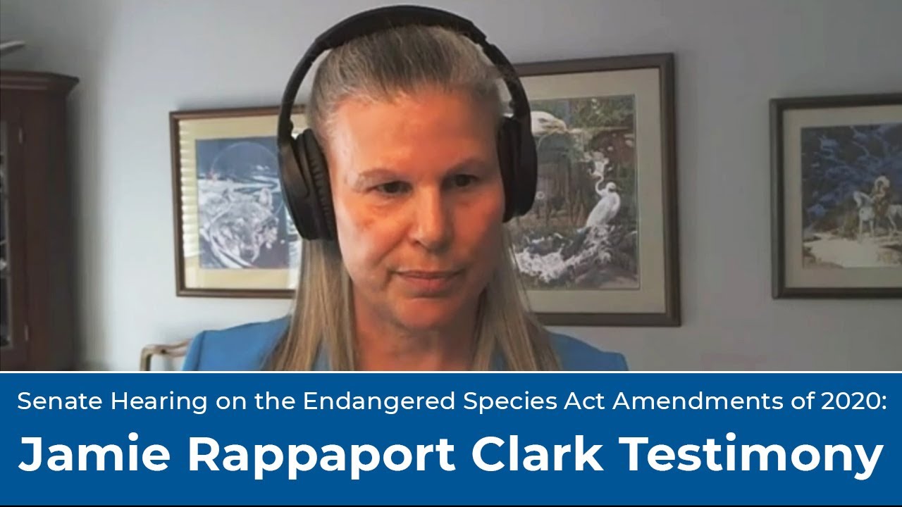Jamie Rappaport Clark Testimony - Senate Hearing on the Endangered Species Act Amendments of 2020