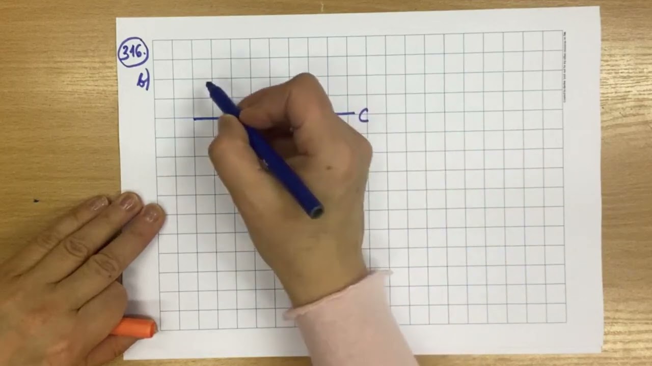 316 Simetrija tiesės atžvilgiu
