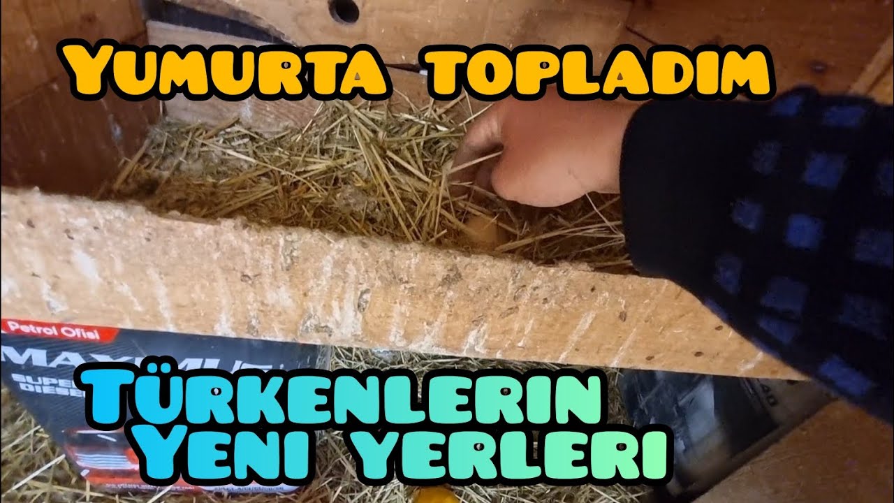 Yeni yerler ve bol yumurtalar
