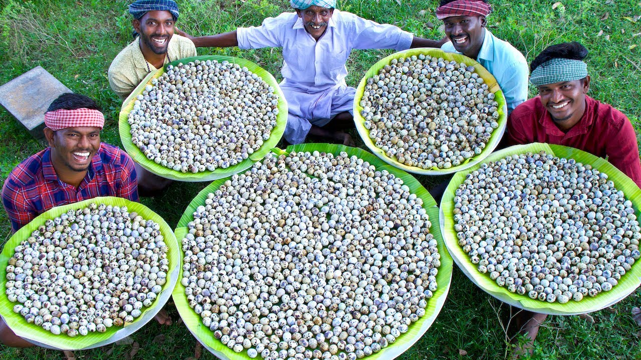 3000 QUAIL EGGS | Cooking Eggs in CLAY | Ancient Traditional Quail Egg Recipes Cooking In Village