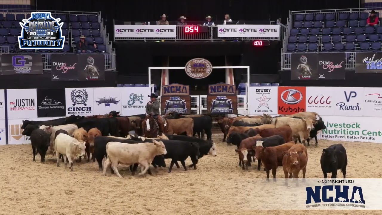 king of chromes shown by barney mac smith   2025 ncha futurity amateur semi finals 720p