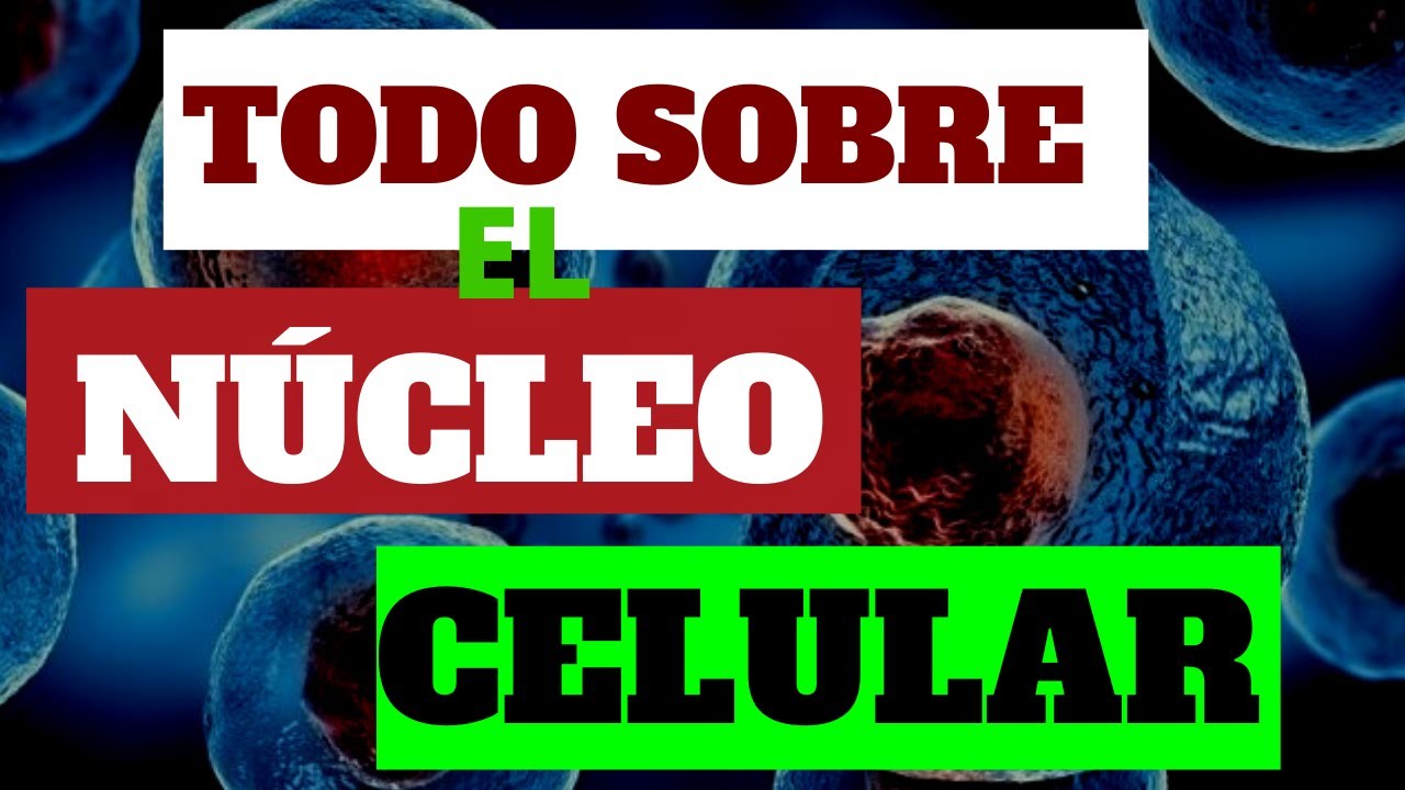 TODO SOBRE EL N&Uacute;CLEO CELULAR