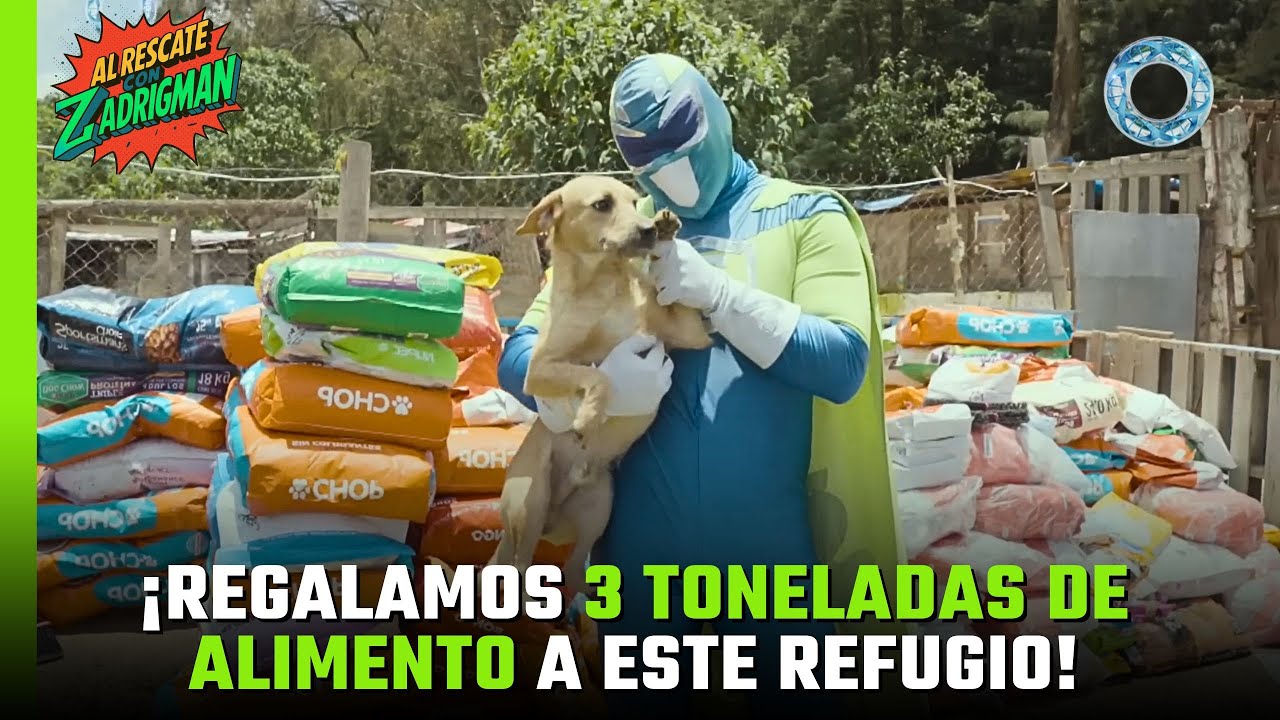 ¡REGALAMOS 3 TONELADAS de ALIMENTO a este refugio! 🐶