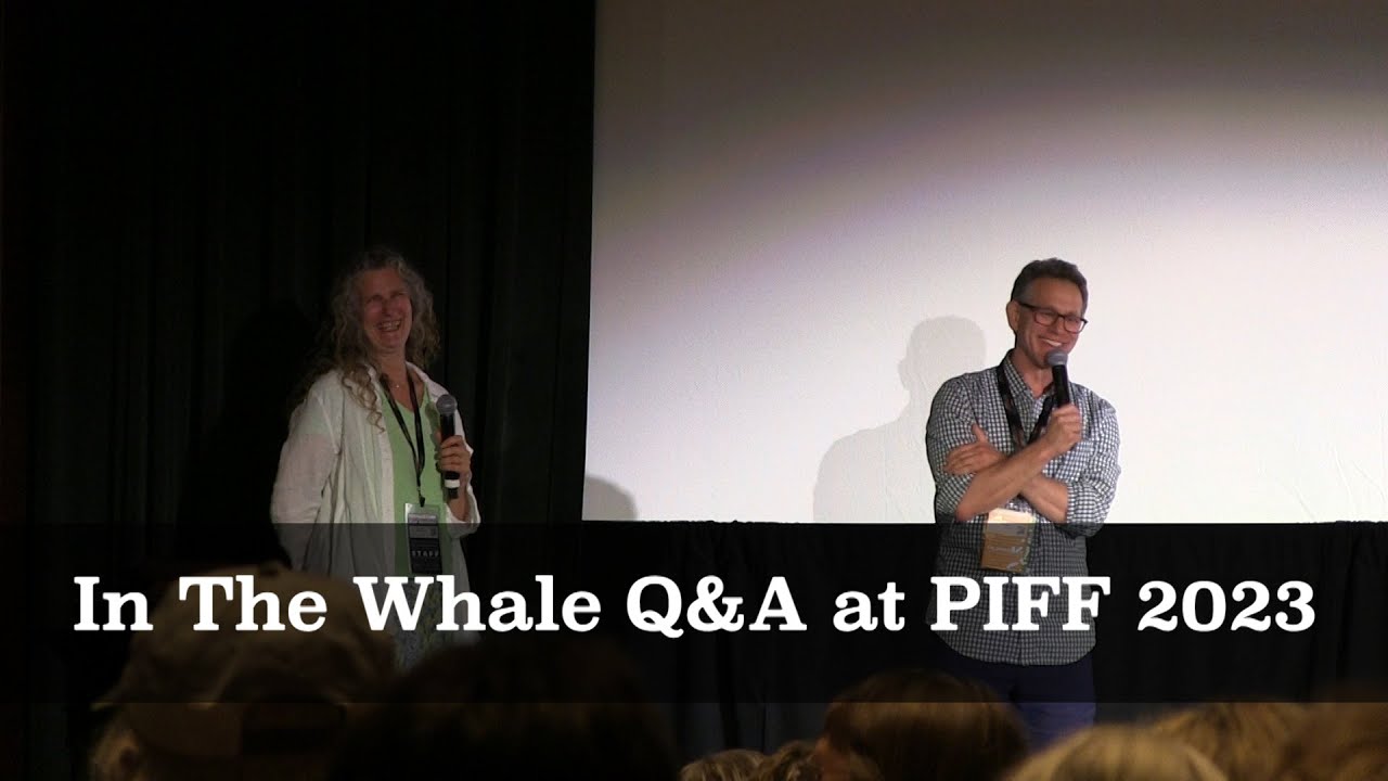 In The Whale Q&A at PIFF 2023 | Media Women Worldwide