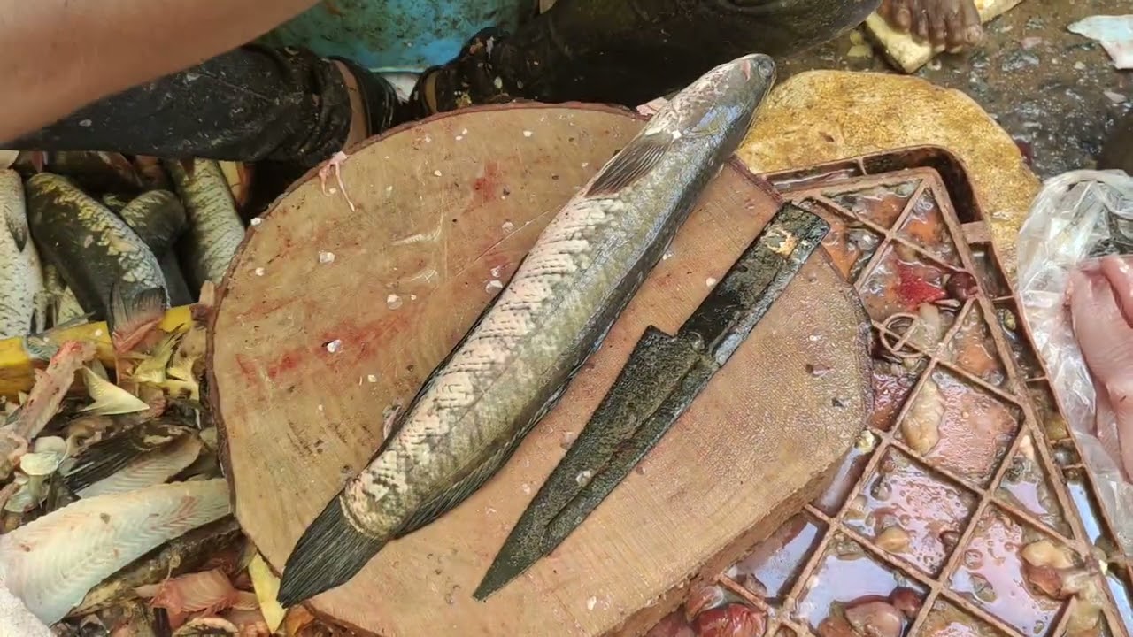 Amazing korramenu fish cutting skill | Begum Bazar Fish Market | Korramenu |Fish Market | Hyderabad