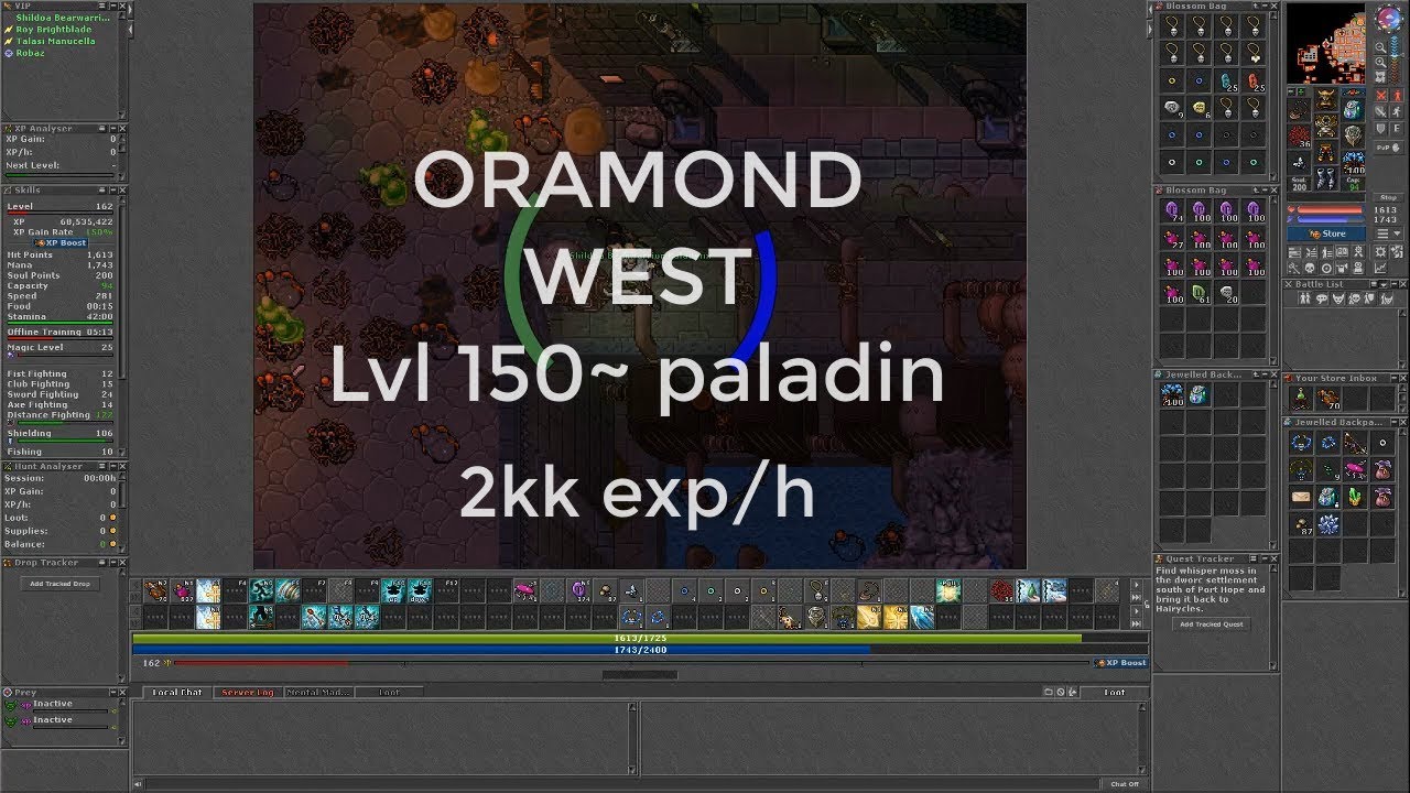 Tibia. Paladin lvl150 AOE hunt Oramond West