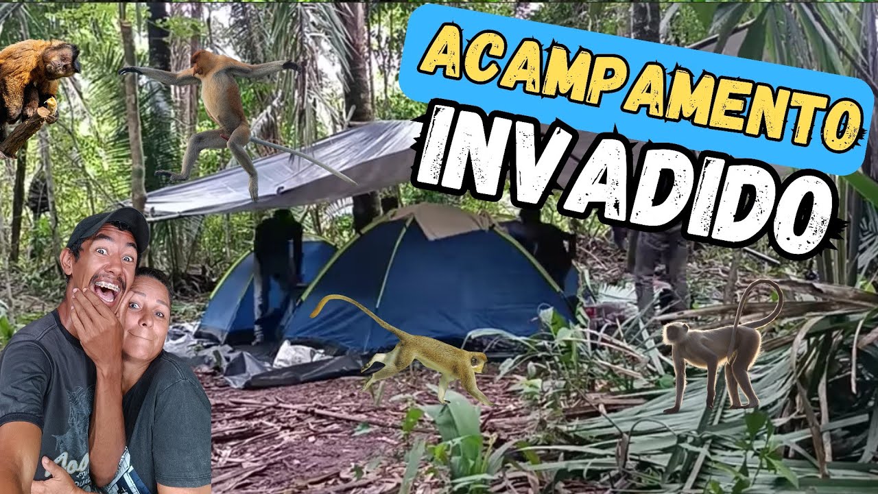 ESTAVA TUDO BEM ATÉ QUE OS MACACOS APARECEU!!!  T02. EP.16