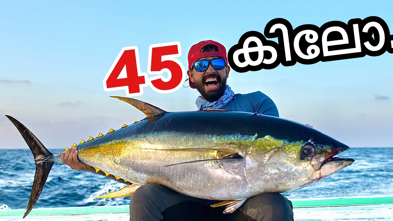 🔥ആഴക്കടലിൽ നിന്ന് കിട്ടിയ ചൂരയെ കണ്ടോ ?? | Tuna fishing and cooking