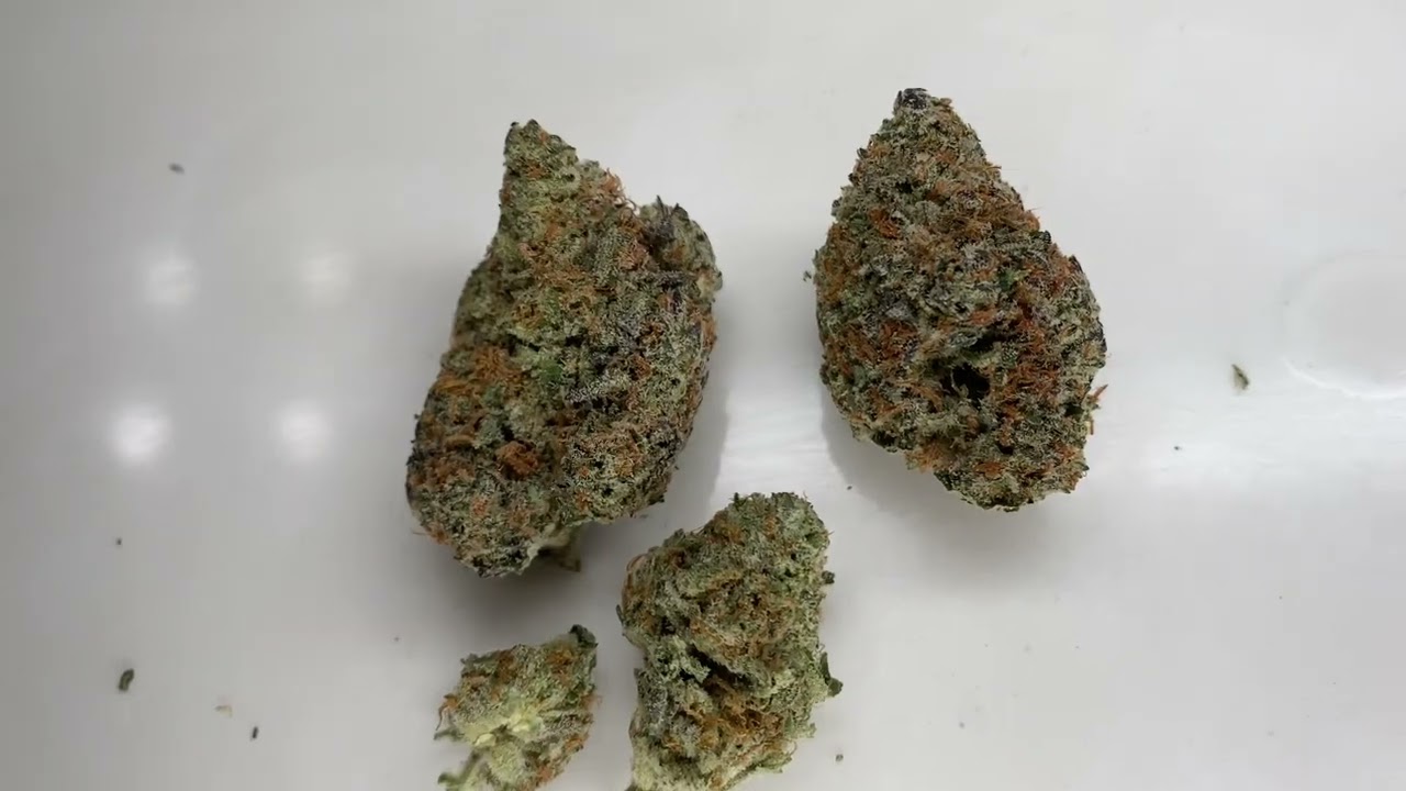 Tales & Travels Quantum Runtz Flower Review