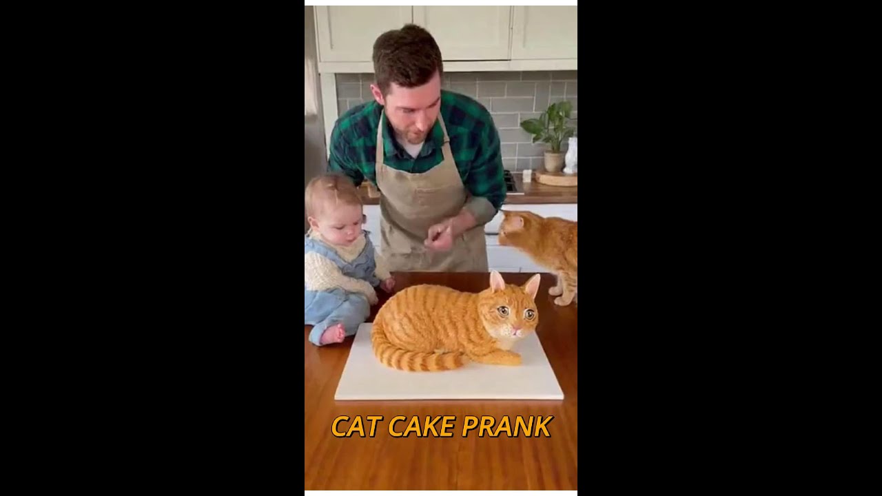 Вирусный розыгрыш с тортом, о котором все говорят! 🎂😹