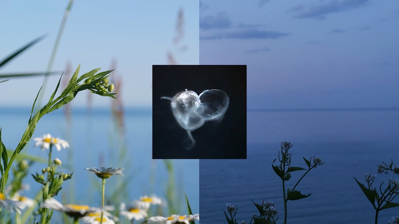 Alexander Panos - Nascent (Full Album)