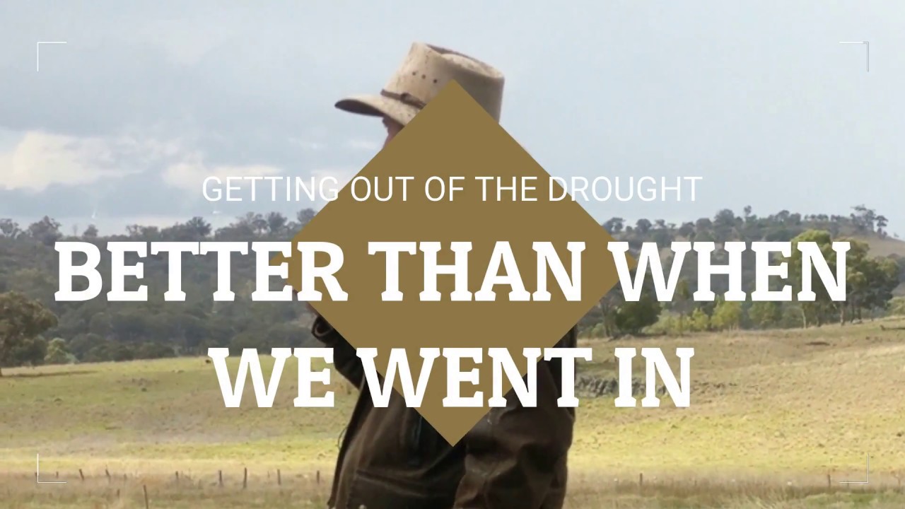 Regen Ag Day at Danthonia, Bruderhof Community Inverell NSW 1
