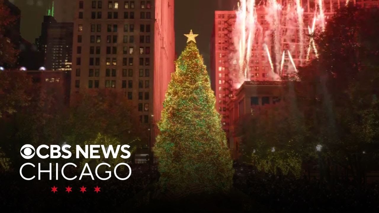 Chicago lights up Millennium Park Christmas tree