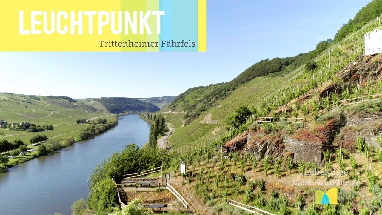 Trittenheimer Fährfels