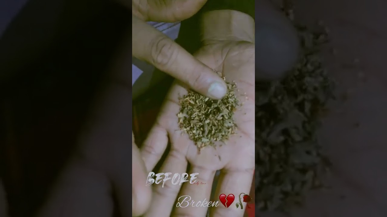 𝘽𝙀𝙁𝙊𝙍𝙀 𝘽𝙍𝙀𝘼𝙆𝙐𝙋💔 #breakup #broken #gogo #ganja